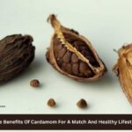 The Benefits Of Cardamom For A Match And Healthy Lifestyle