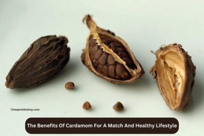 The Benefits Of Cardamom For A Match And Healthy Lifestyle